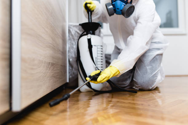 Best Best Pest Control Companies  in Western Springs, IL