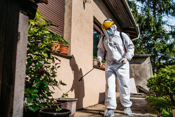 Best Emergency Pest Control  in Western Springs, IL