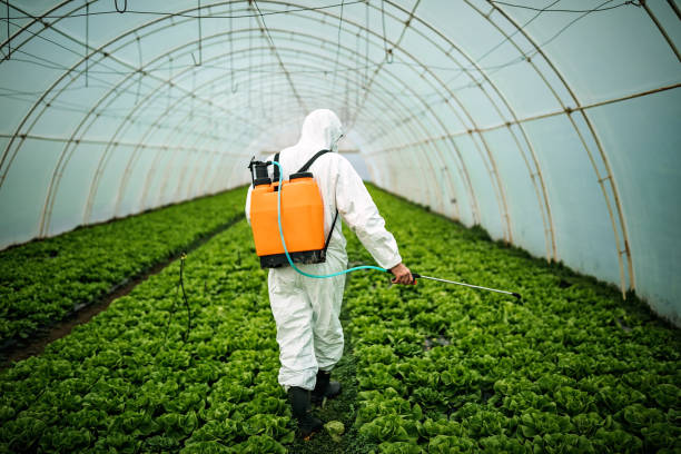 Best Pest Prevention Services  in Western Springs, IL