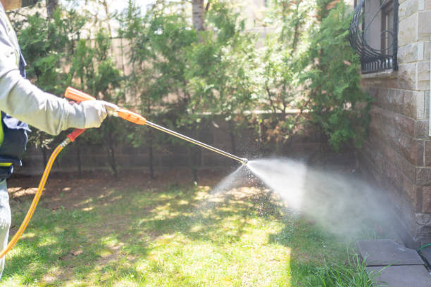 Best Wasp Removal Services  in Western Springs, IL