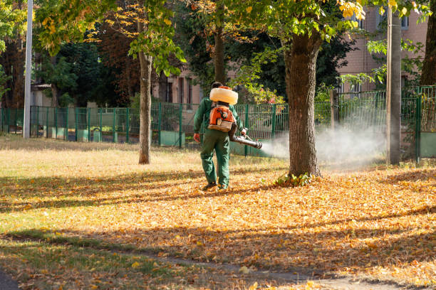  Western Springs, IL Pest Control Pros